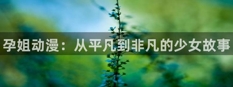 下载动漫天堂：孕姐动漫：从平凡到非凡的少女故事