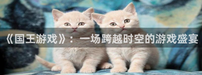 bt动漫天堂