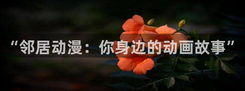 动漫天堂3d