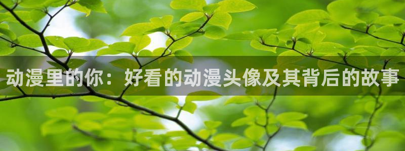 动漫天堂在线