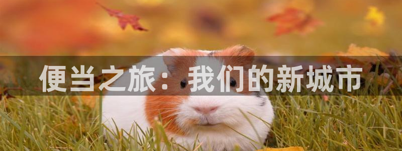 动漫天堂下载