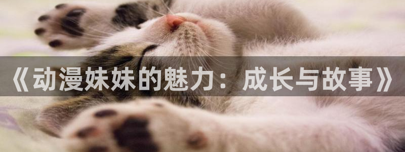 动漫天堂从哪下载安装