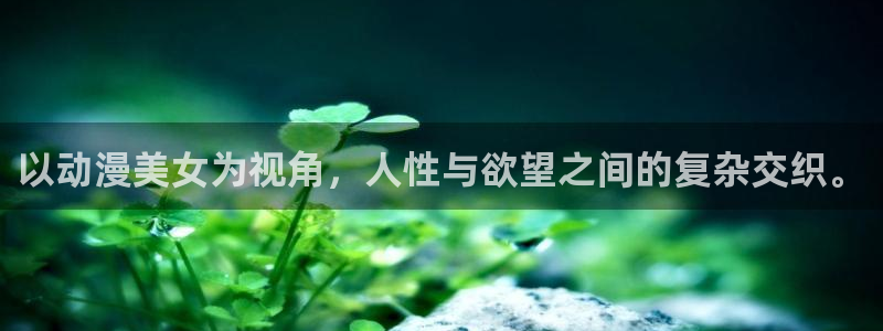 动漫天堂
