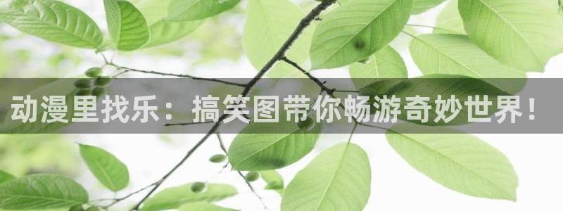 动漫天堂在线看