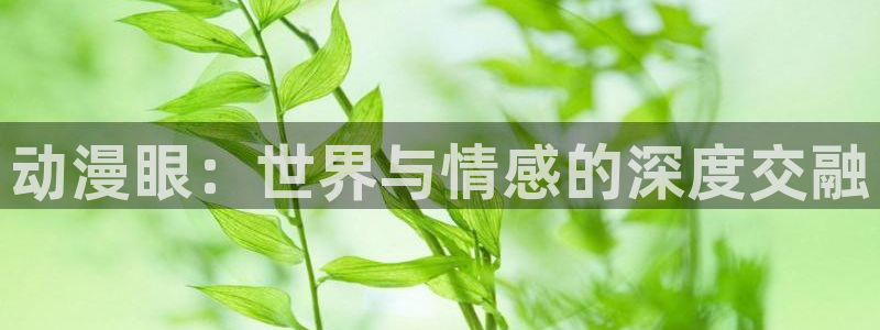 禁动漫天堂