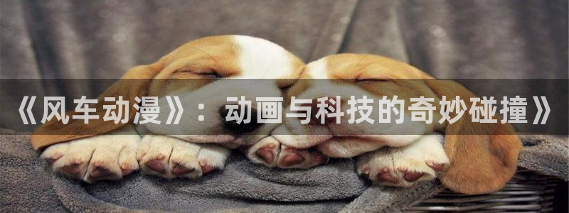 动漫天堂