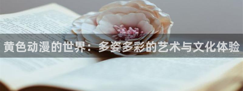 动漫天堂网址