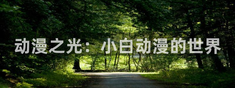 原神动漫天堂免费入口