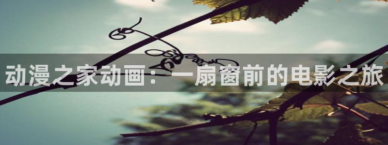 番剧推荐动漫天堂.：动漫之家动画：一扇窗前的电影之旅