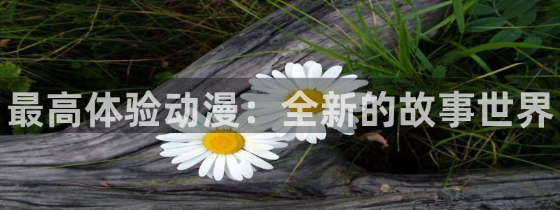 动漫天堂cc：最高体验动漫：全新的故事世界