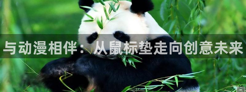 coco动漫天堂