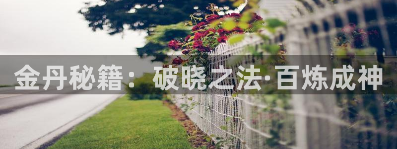 acg动漫天堂