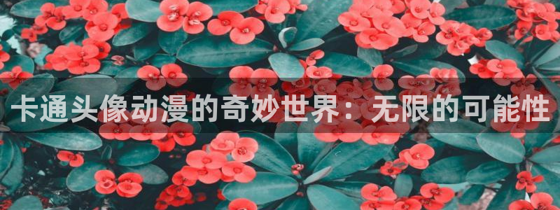 jk动漫天堂
