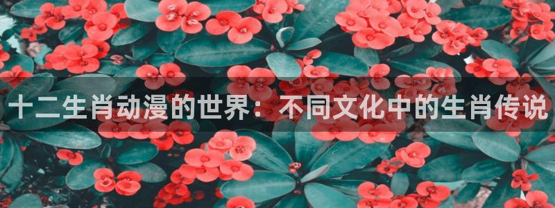 亚洲动漫天堂在线：十二生肖动漫的世界：不同文化中的生肖传说