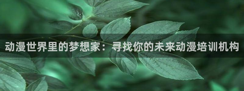 同人动漫天堂：动漫世界里的梦想家：寻找你的未来动漫培训机构