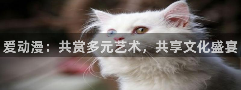 动漫天堂在线：爱动漫：共赏多元艺术，共享文化盛宴