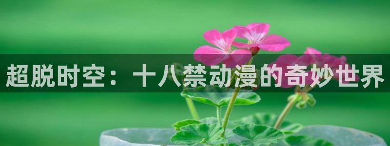 原神禁动漫天堂：超脱时空：十八禁动漫的奇妙世界