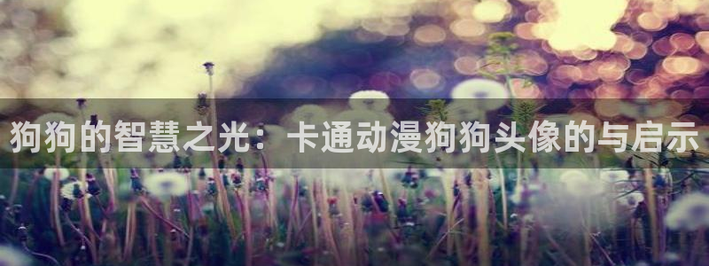 动漫天堂.：狗狗的智慧之光：卡通动漫狗狗头像的与启示