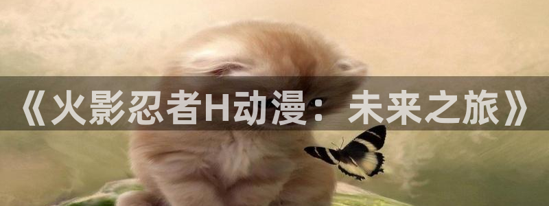 3d动漫天堂网：《火影忍者H动漫：未来之旅》