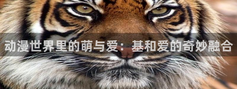 亚洲动漫天堂：动漫世界里的萌与爱：基和爱的奇妙融合