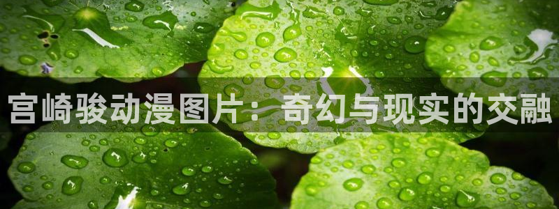 3d动漫天堂：宫崎骏动漫图片：奇幻与现实的交融