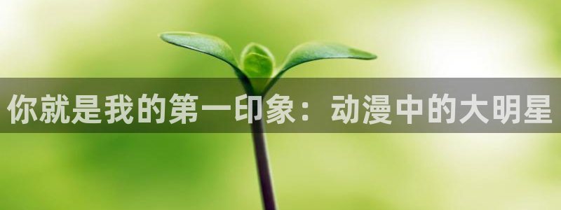 动漫天堂.：你就是我的第一印象：动漫中的大明星