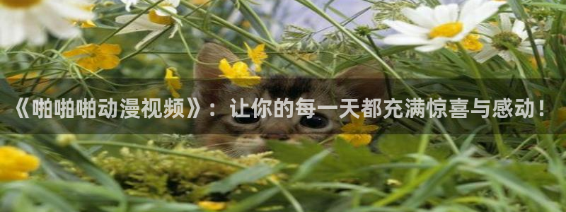 成人动漫天堂网：《啪啪啪动漫视频》：让你的每一天都充满惊喜与感动！