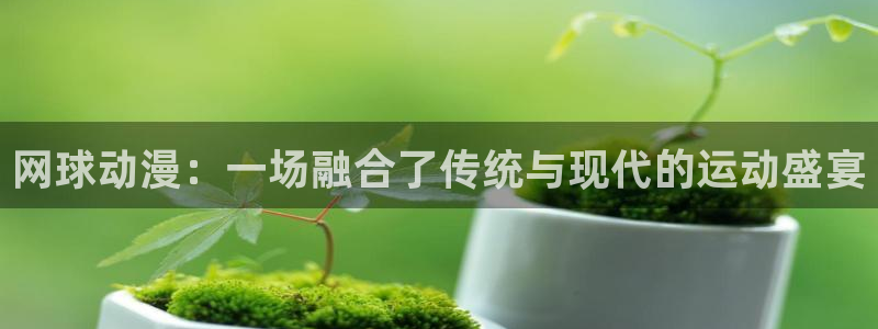 黄动漫天堂：网球动漫：一场融合了传统与现代的运动盛宴