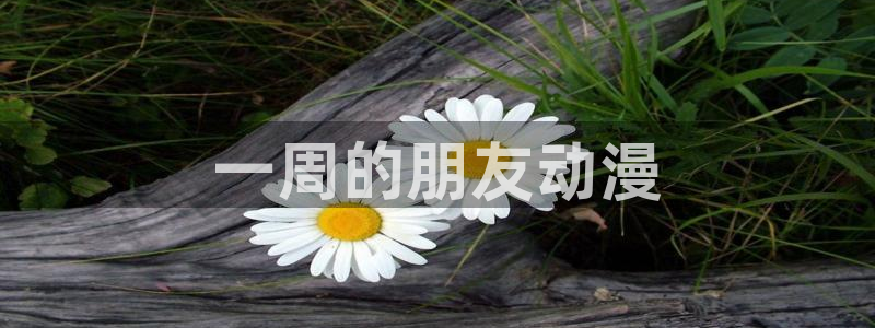 动漫天堂网站：一周的朋友动漫