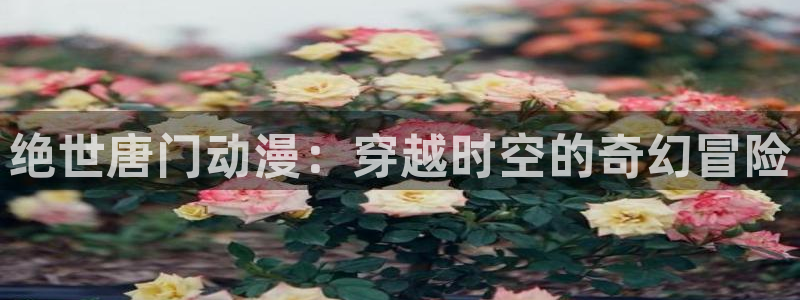 原神动漫天堂免费入口：绝世唐门动漫：穿越时空的奇幻冒险