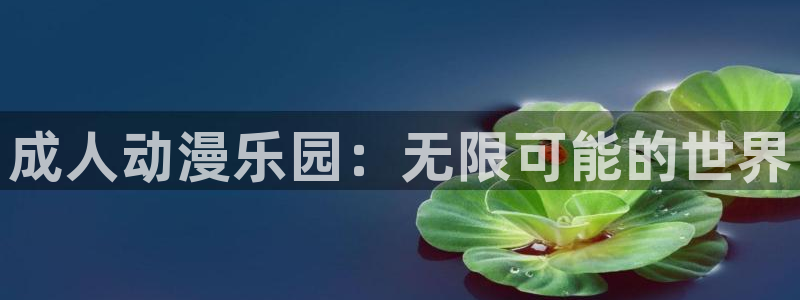 动漫天堂18：成人动漫乐园：无限可能的世界