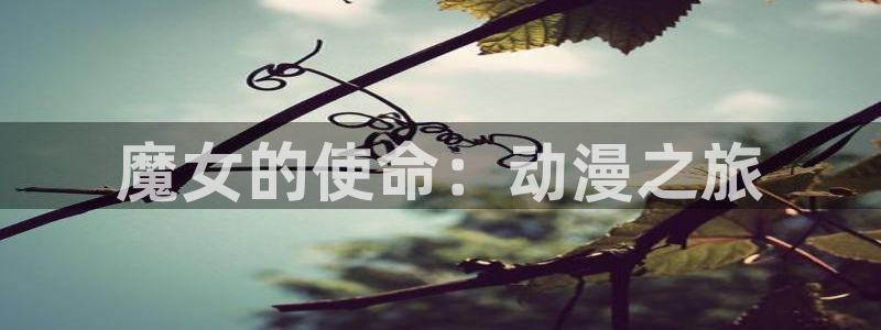 原神动漫天堂免费入口：魔女的使命：动漫之旅