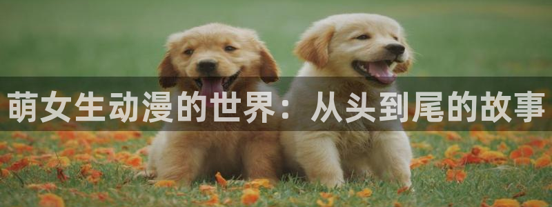 动漫天堂免费在线观看：萌女生动漫的世界：从头到尾的故事