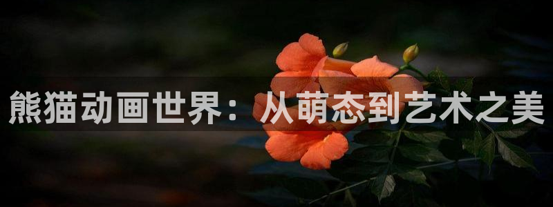 动漫天堂下载安装最新版：熊猫动画世界：从萌态到艺术之美