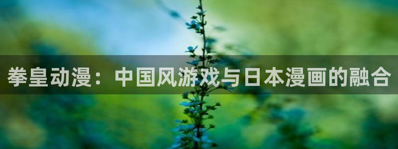 动漫天堂.：拳皇动漫：中国风游戏与日本漫画的融合
