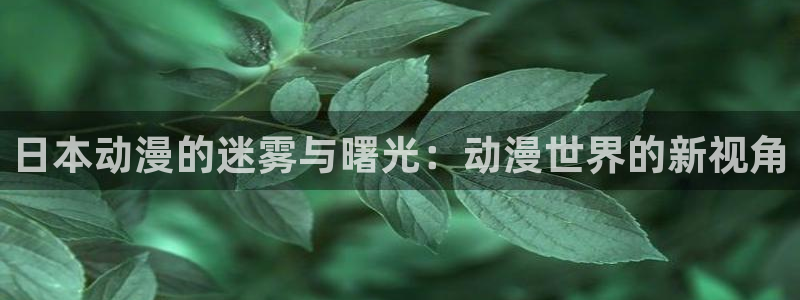 动漫天堂从哪下载安装：日本动漫的迷雾与曙光：动漫世界的新视角